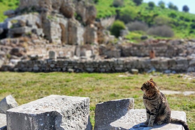 All Inclusive Private Half-Day Ephesus and Sirince Village Tour with Lunch - Is $149 a fair price?