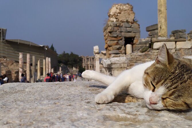 Best of Ephesus Tour From Kusadasi: Temple of Artemis, St John Basilica, Isa Bey Mosque - What the $185 price really buys you
