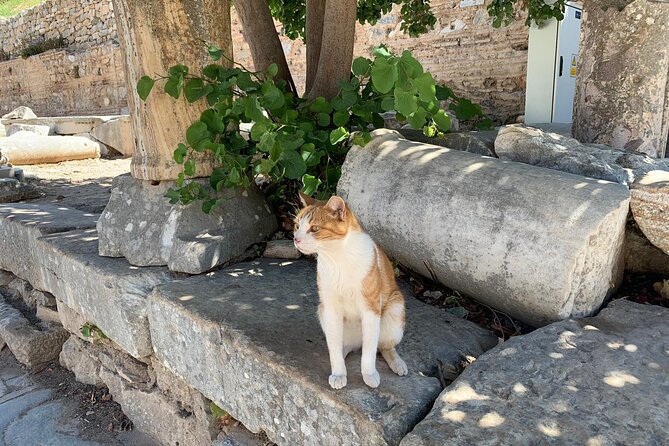 Customize Your Ephesus Trip With Your Guide & Vehicle - The people behind the service