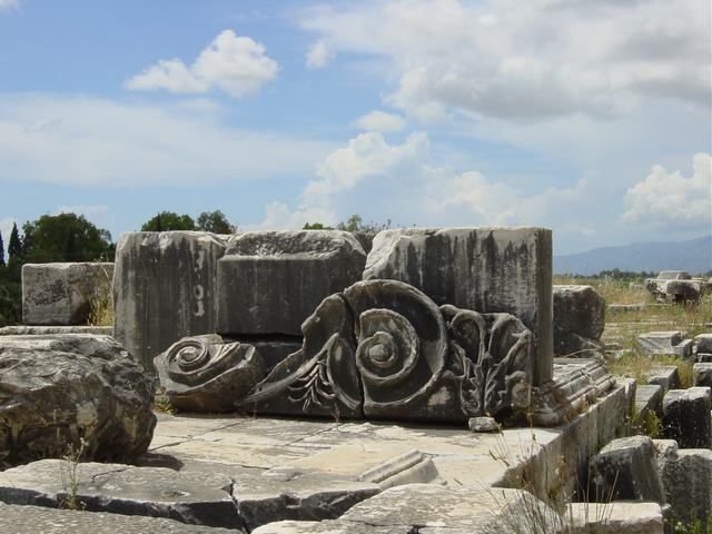 Ephesus, Priene, Miletos and Didyma Tour - Should you book it?