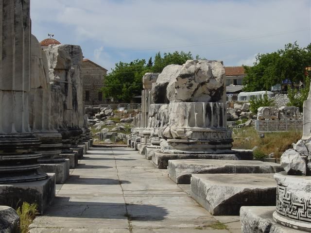 Ephesus, Priene, Miletos and Didyma Tour - Who should book this tour?