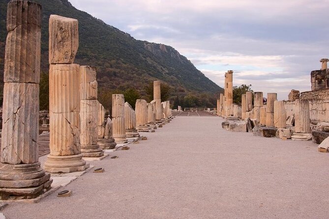 Ephesus Private Tour Guide - The lonely column at Artemis Temple
