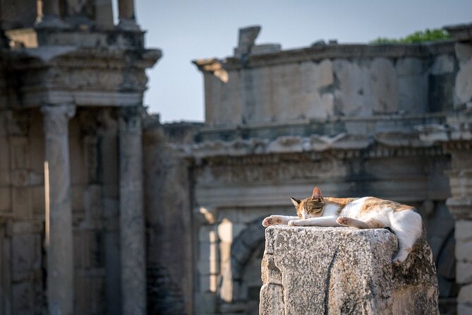 Ephesus: Private Tour with Skip-The-Line & Less Walking - Price, extra costs, and real value