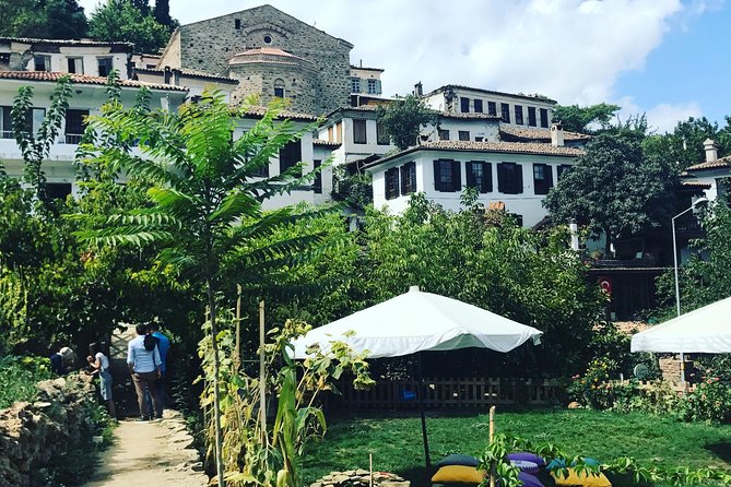 Ephesus Shore Excursion: Private Guide and Vehicle - Private transport and the cruise-port schedule