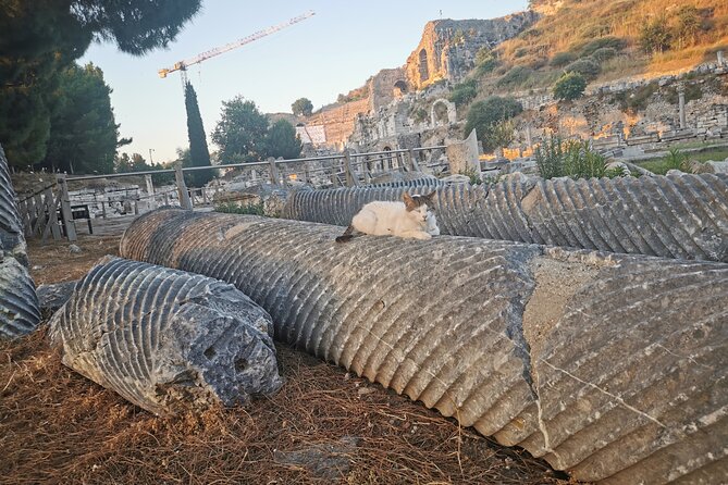 Ephesus Walking Tour - What the guides add