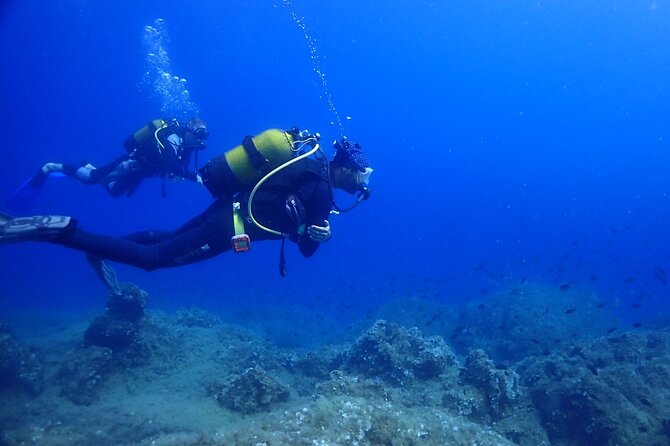Explore World's Largest Plane Wreck by Scuba Diving in Kusadasi - The crew’s role in making this manageable