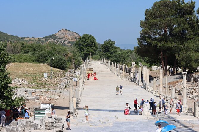 FOR CRUISERS: Highlights of Ephesus Private Tour (GUARANTEED ON-TIME RETURN) - Seeing the Ephesus Museum after the ruins