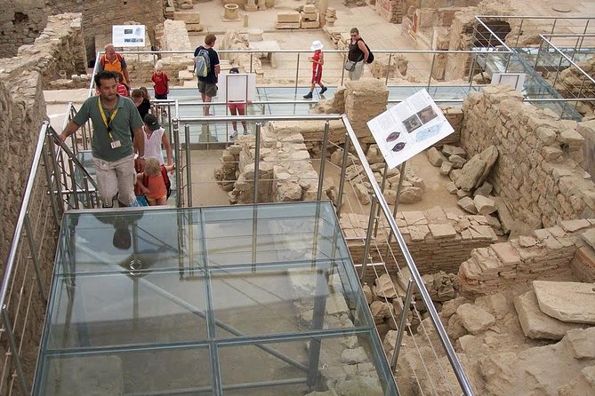 From Ephesus Cruise Port: Private Guided Customized Excursion - Ephesus Ancient City: give the ruins your best time