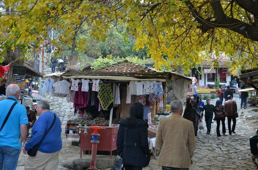 From Kusadasi: Sirince Village and Ephesus Tour - Wine, coffee, and time to look around