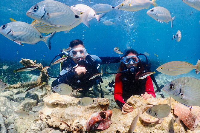 Guided Scuba Diving Experience in Kusadasi - Key things to know before booking