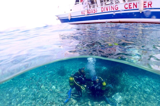 Guided Scuba Diving Experience in Kusadasi - A gentle introduction to scuba in Kusadasi