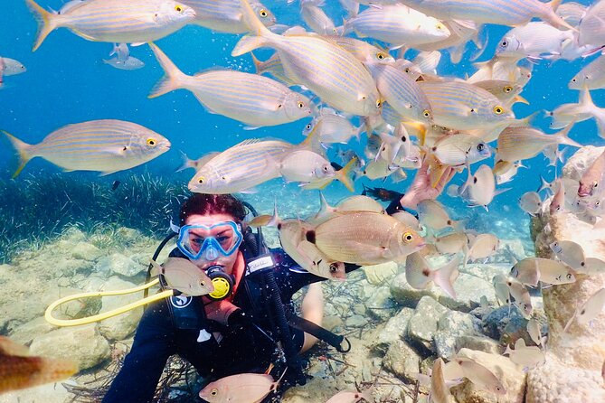 Guided Scuba Diving Experience in Kusadasi - Lunch and the boat experience