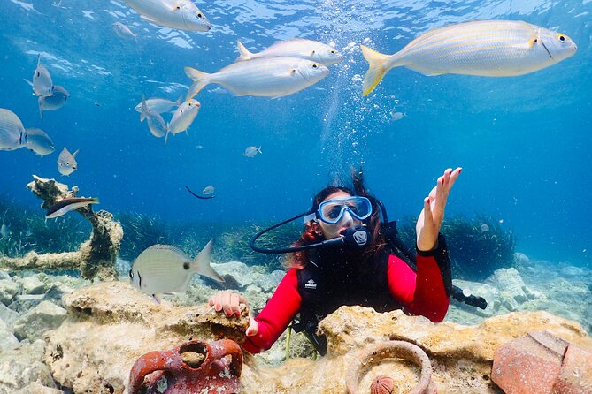 Guided Scuba Diving Experience in Kusadasi - From the marina to the boat briefing