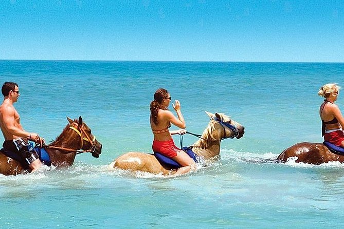 Horse Riding From Kusadasi Port / Hotels - Key points at a glance