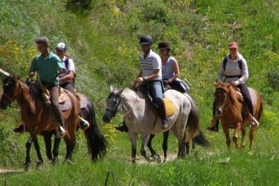 Horse Riding From Kusadasi Port / Hotels