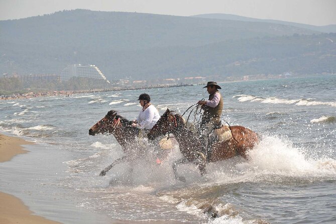 Horseback Riding From Kusadasi Port For Cruise Guests - Key points to know before booking