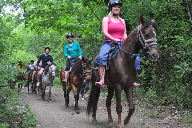 Horseback Riding From Kusadasi Port For Cruise Guests - What the $88.92 price covers