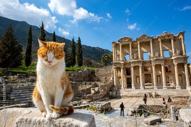 Journey to Ancient Wonders: Explore Ephesus with a Private Tour - The Great Theater and St. Paul’s connection