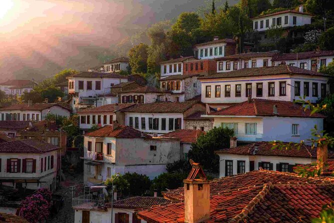 Journey to Ancient Wonders: Explore Ephesus with a Private Tour - Terrace Houses: the best extra for daily life