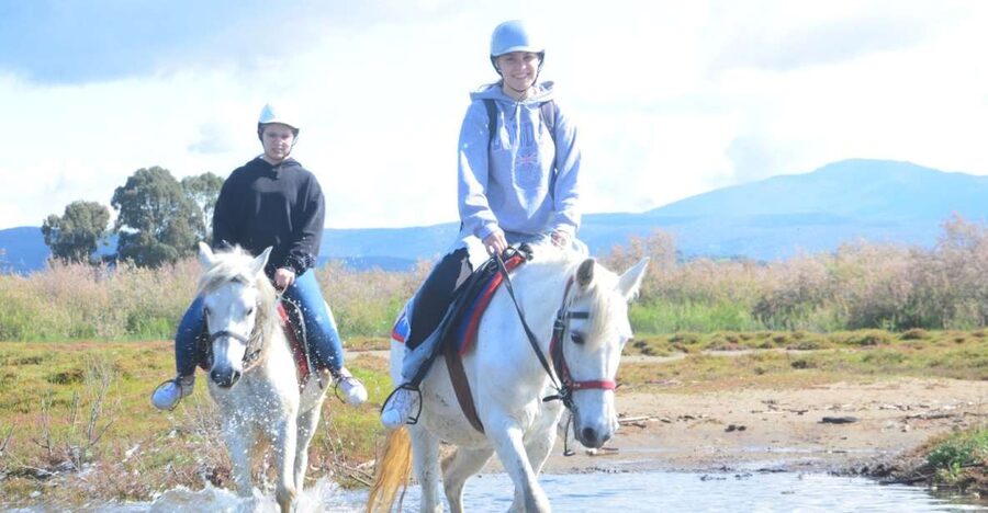 Kusadasi: Beach and Forest Horse Riding Tour - Key points at a glance