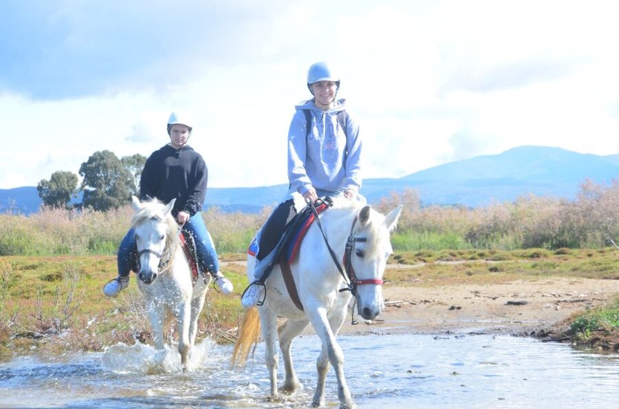Kusadasi: Beach and Forest Horse Riding Tour - From Kusadasi to the horse safari park