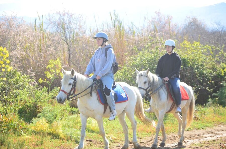 Kusadasi: Beach and Forest Horse Riding Tour - Through pine trees and olive groves