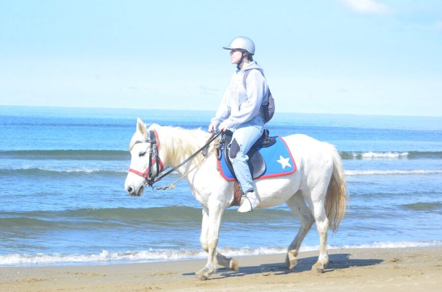 Kusadasi: Beach and Forest Horse Riding Tour - Practical details before you book