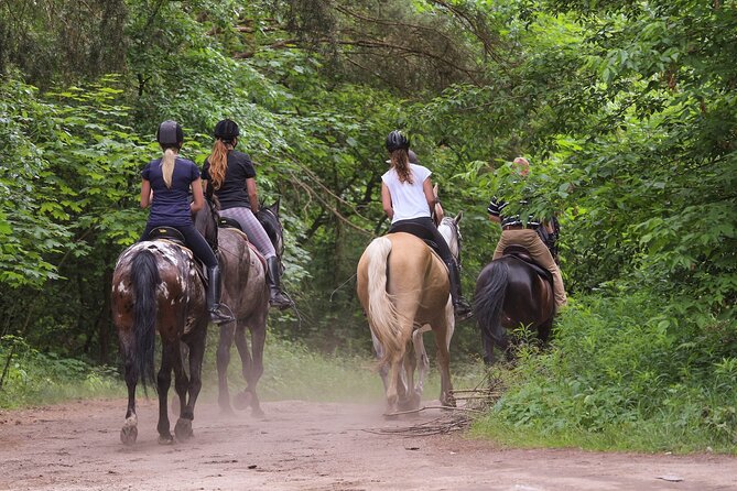 Kusadasi Horse Riding Beach and Forest options with Transfer - Key details before you saddle up