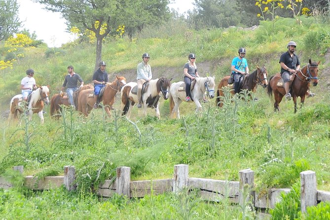 Kusadasi Horse Riding Beach and Forest options with Transfer - What happens during the 15-minute briefing