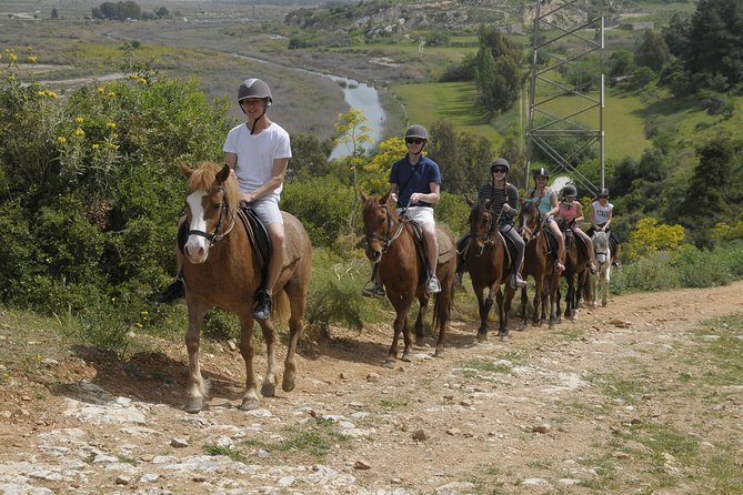 Kusadasi Horse Riding Beach and Forest options with Transfer - How the horses and guides affect the experience