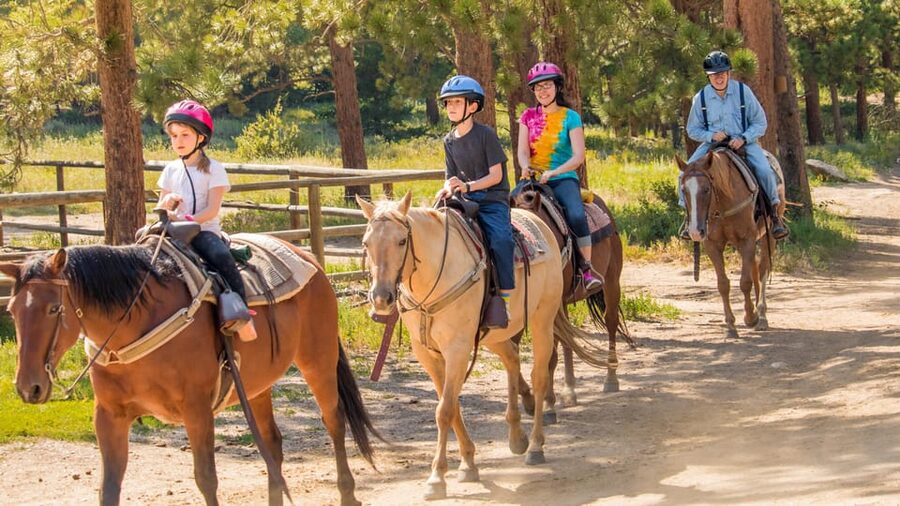Kusadasi: Horse Riding Beach and Forest w/Transfer - Leaving Kusadasi for the Pine Country