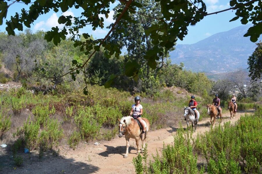 Kusadasi: Horse Riding Beach and Forest w/Transfer - Meeting Your Horse at the Ranch
