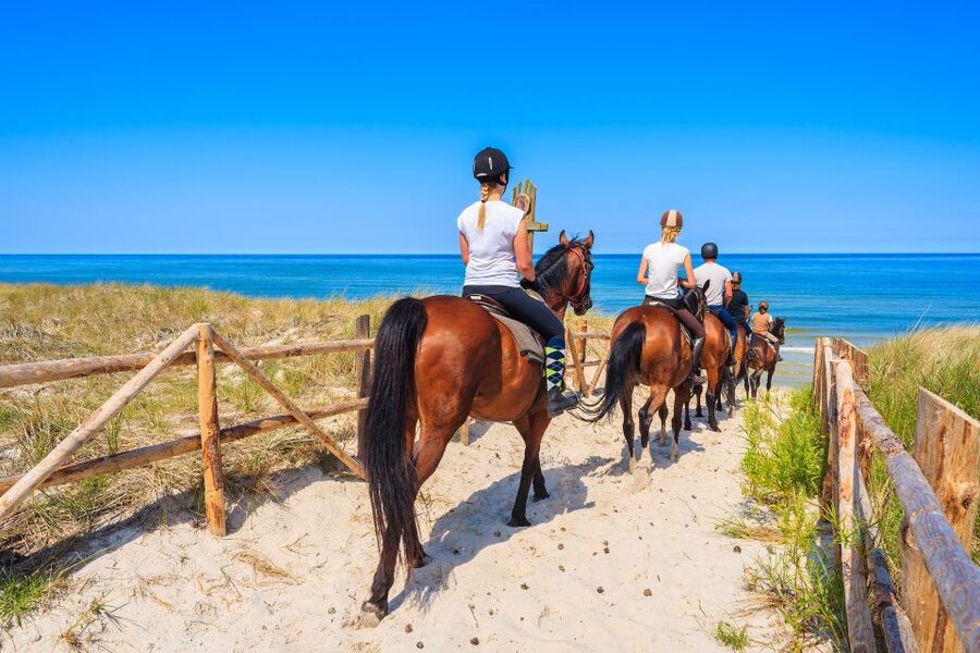 Kusadasi: Horse Riding Beach and Forest w/Transfer - Booking Details That Matter