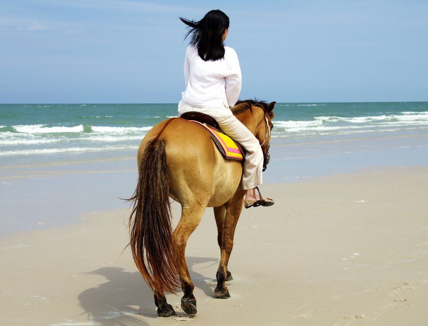 Kusadasi: Horse Riding Beach and Forest w/Transfer - Through Orange Groves and Traditional Villages