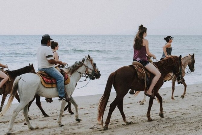 Kusadasi Horse Riding On Beach And Through The River - Key points before you saddle up