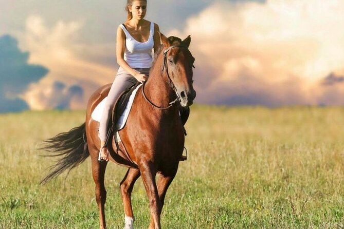 Kusadasi Horse Riding On Beach And Through The River - Meeting the horses and learning the basics