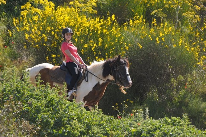 Kusadasi Horse Riding On Beach And Through The River - The ride back to the ranch