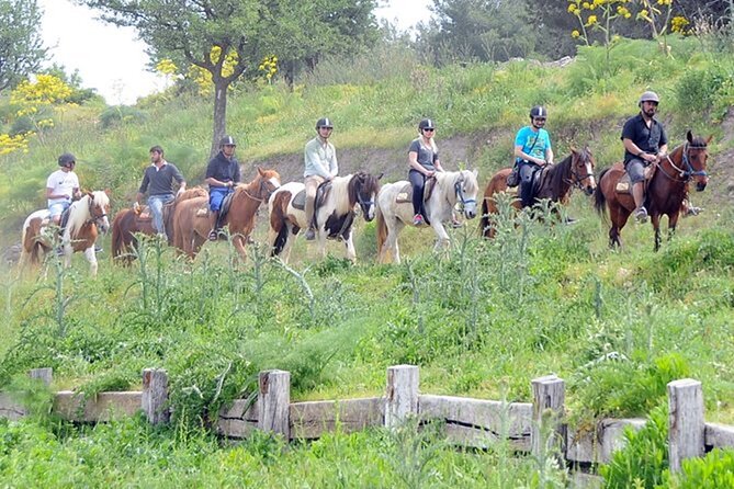 Kusadasi Horse Riding On Beach And Through The River - What the $50 price really covers