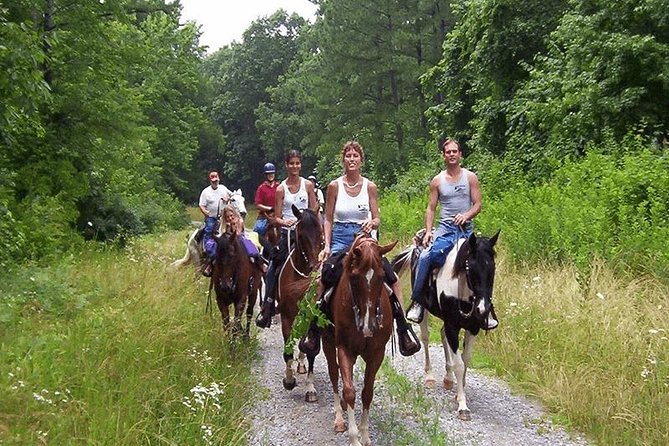 Kusadasi Horseback Riding - Is $48.24 good value?