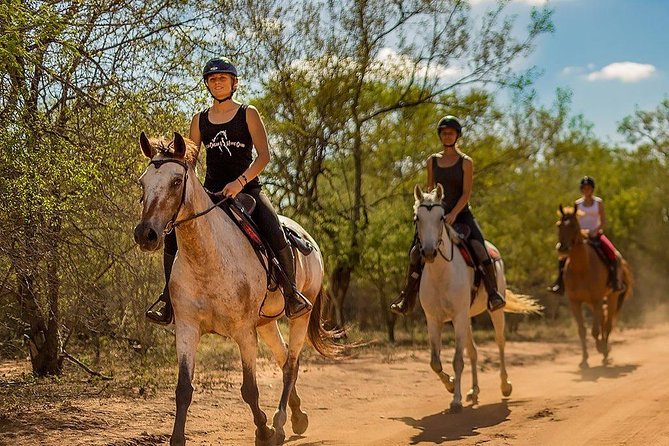 Kusadasi Horseback Riding - Who will enjoy this ride most?