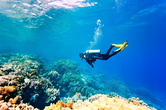 Kusadasi Scuba Diving Experience w/Instructor incl. Transfer - Key points at a glance