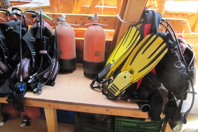 Kusadasi Scuba Diving Experience w/Instructor incl. Transfer - What the Kusadasi morning is really like