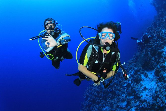 Kusadasi Scuba Diving Experience w/Instructor incl. Transfer - How the price compares with the experience