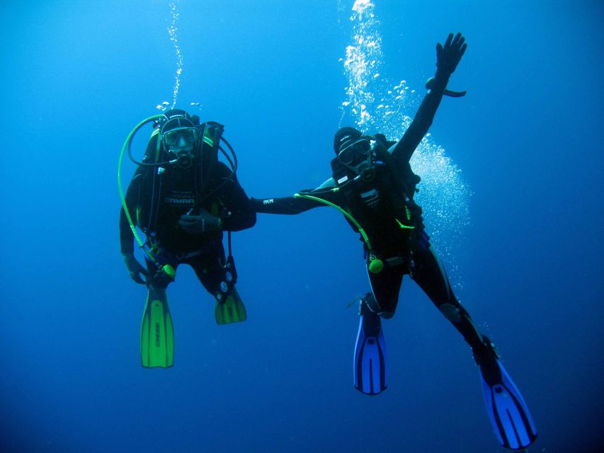 Kusadasi: Scuba Diving for Beginner or Experienced w/ Lunch - A gentle first step into the Aegean