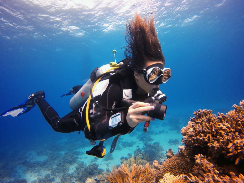 Kusadasi: Scuba Diving for Beginner or Experienced w/ Lunch - Lunch, drinks, and the real value of $59