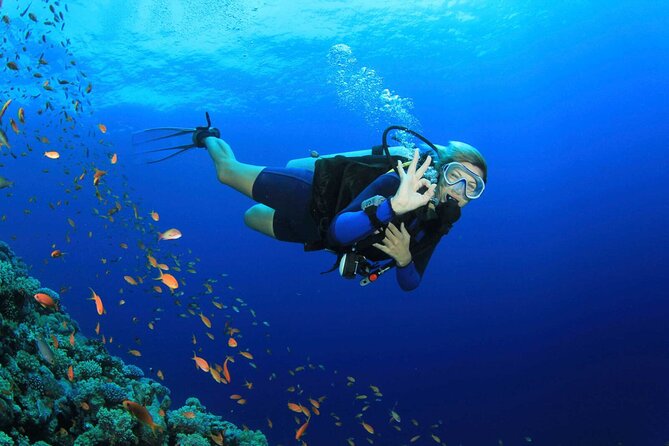 Kusadasi Scuba Diving Tour By Local Experts - Key points at a glance