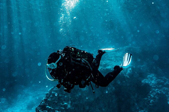 Kusadasi Scuba Diving Tour By Local Experts - What the $40 price really covers