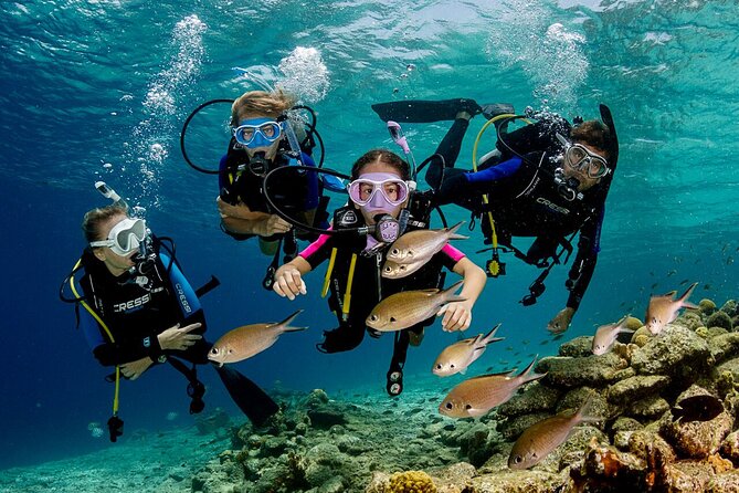 Kusadasi Scuba Diving Tour By Local Experts - Weather, age, and practical limits