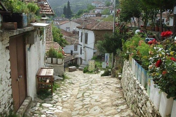 Kusadasi Shore Excursion: Private Full-Day Tour to Ephesus, Didyma and Miletus - Is $236.18 per person good value?