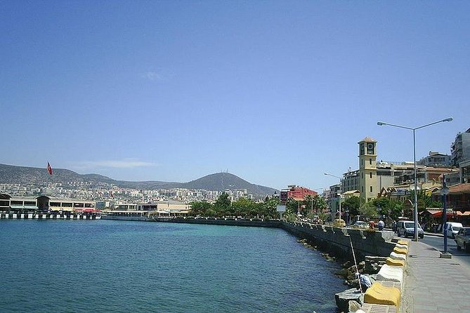 Kusadasi Shore Excursion: Private Tour to Ephesus including House of Virgin Mary and Temple of Artemis - A short stop at the House of Virgin Mary